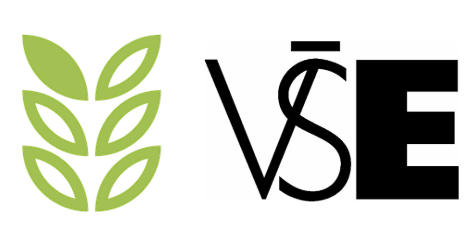 Bravely for Innovation